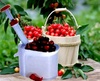 Машинка для удаления косточек вишни